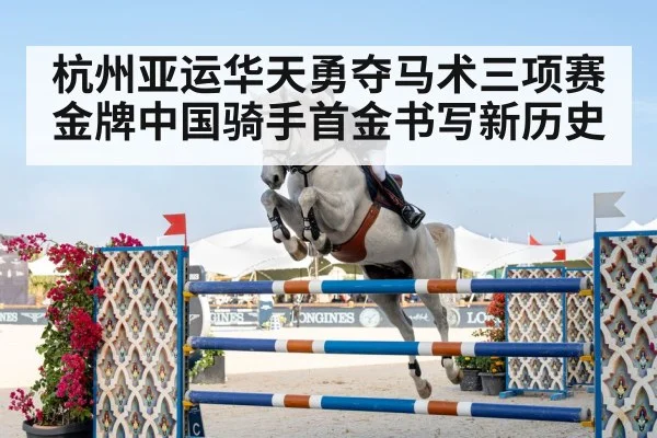 show jumping horse competition